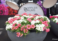 De Drums series van Selecta.